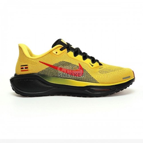 Air Zoom Pegasus 41 Yellow Black Red