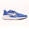 Air Zoom Pegasus 41 Blue White